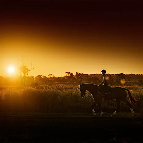 Keep Calm With Calm Performer