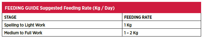 feeding rates