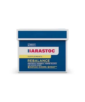 Rebalance Horse Block