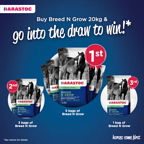 Win with Breed N Grow