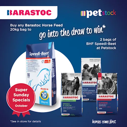 Petstock Super Sunday Specials
