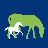 Tailor Your Mares Nutrition 