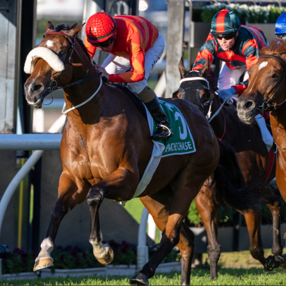 Chasing success, Forster’s way