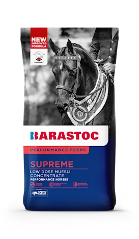 Feed Focus - Supreme 