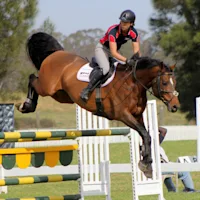 Gostelow Equestrian Team