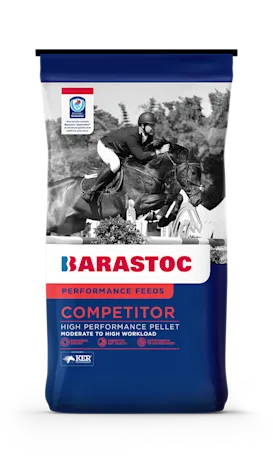 Feed Focus - Competitor