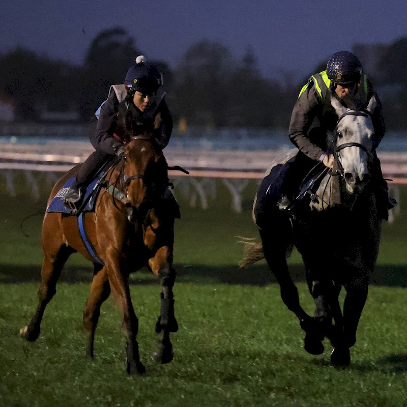 How does Gastrolize™ assist horses prone to Gastric Ulcers?