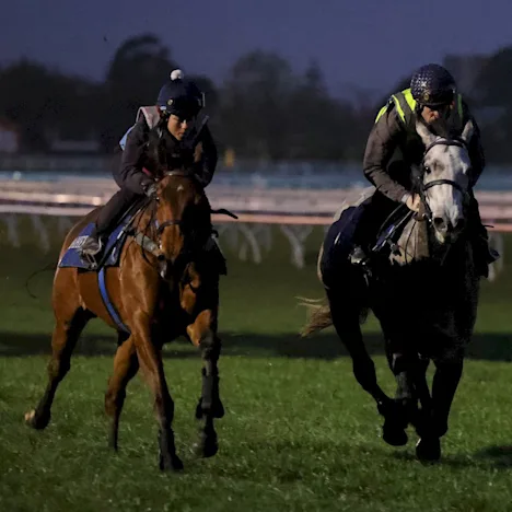 How does Gastrolize™ assist horses prone to Gastric Ulcers?