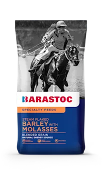 Steamed Flaked Barley & Molasses