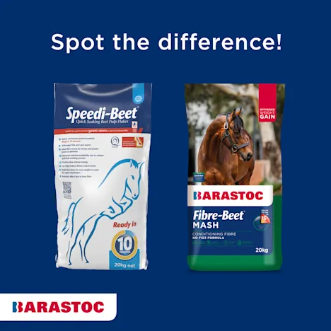 What’s the Difference Between Speedi-Beet™ and Barastoc Fibre-Beet® Mash?