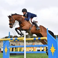 Robert & Cassie Palm