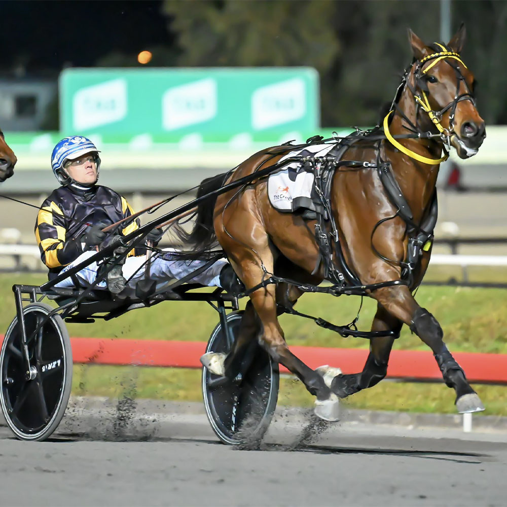 Crosby bred for success 