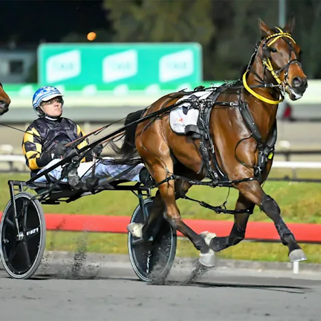 Crosby bred for success 