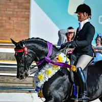 Knowing your performance horse