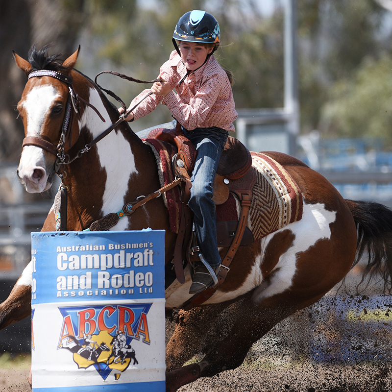 Olivia Priestley Halliday