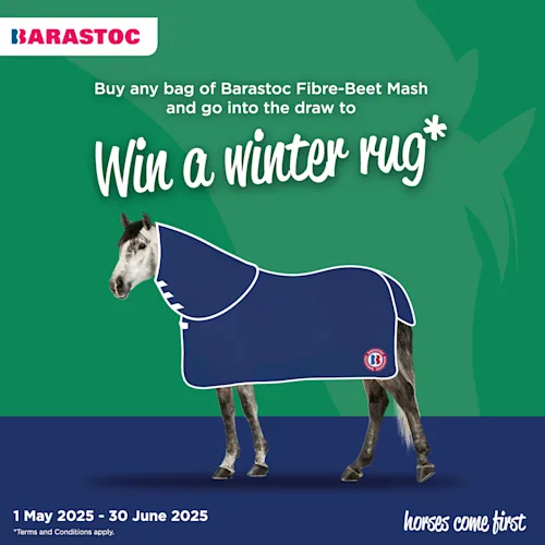 Win a winter rug