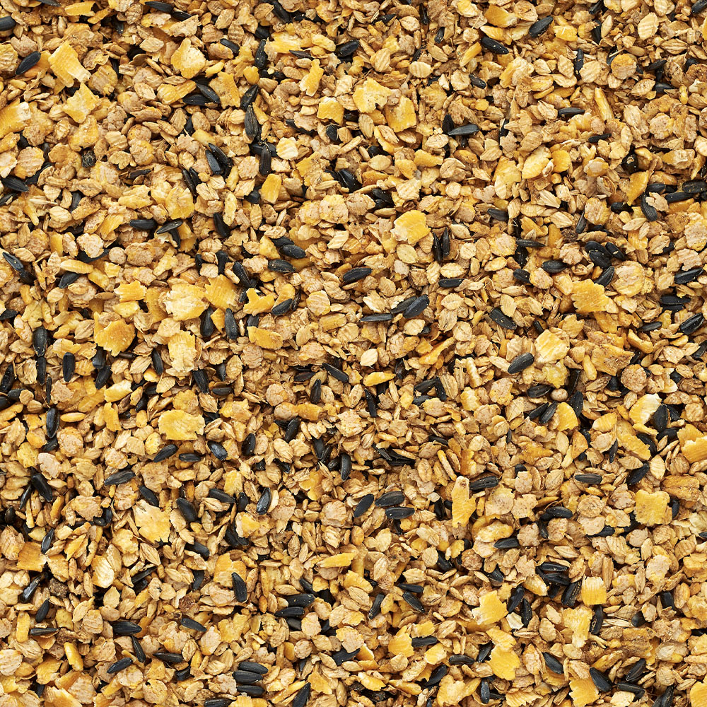 The Low Down on Processed Horse Feeds