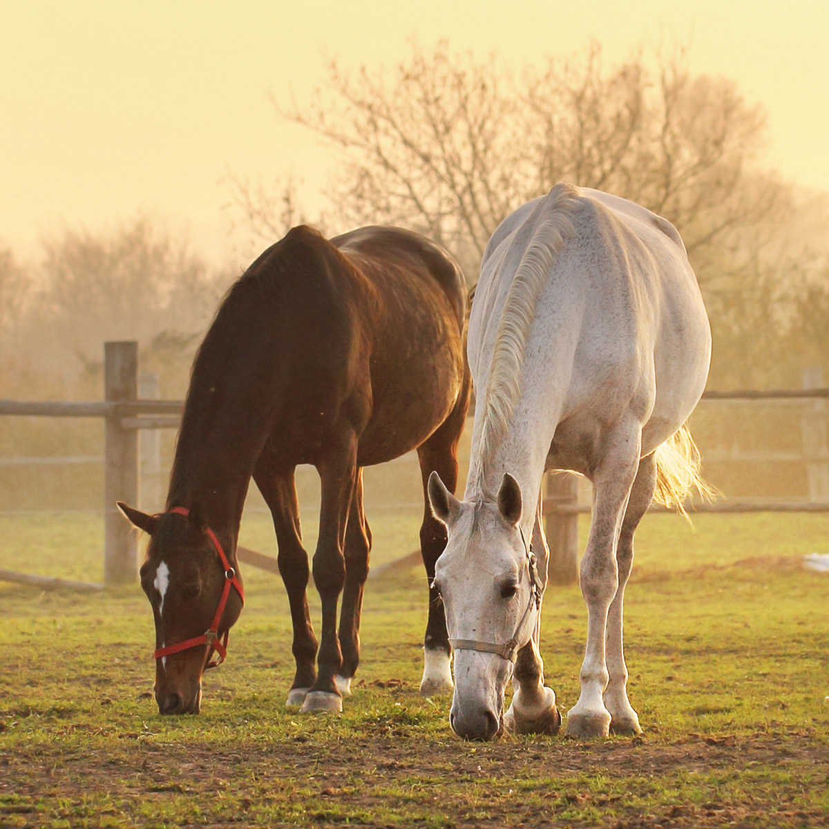 Preparing for the off season