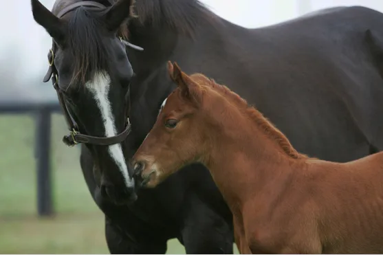 We'd love to hear from you