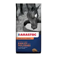 Steam Flaked Barley & Molasses