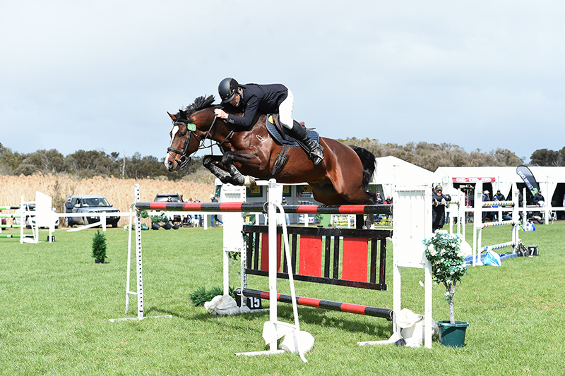 Knowing your performance horse