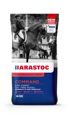 Feed Focus - Command 