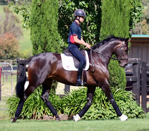 The Advantages of a Micronutrient Premix