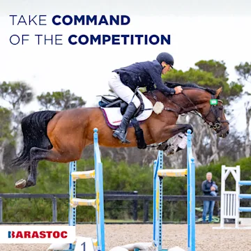 Peak Performance starts in the feedbin