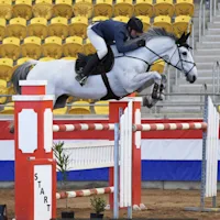 Will Mathews & Sara Ryan