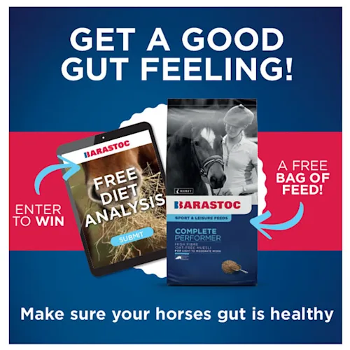 Get a good gut feeling!