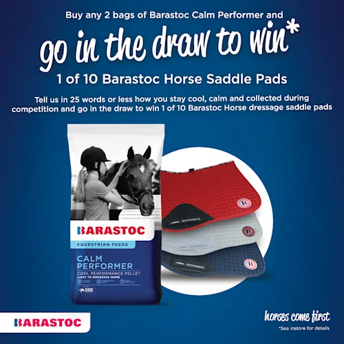 Cool, Calm and Collected with Calm Performer