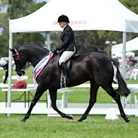 Ink Makes His Mark at Barastoc HOTY