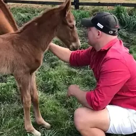 Oaklands Stud. The family affair in the heart of the Darling Downs with a rich local history.