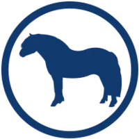 Body Condition Score