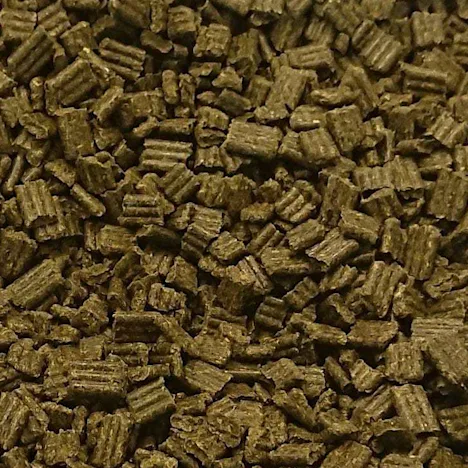 Barastoc Fibre-Beet Mash: Properties and Benefits