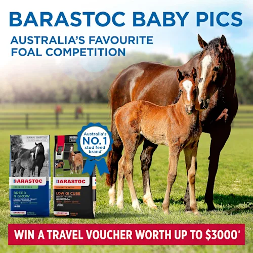 Australia's Favourite Foal Competition