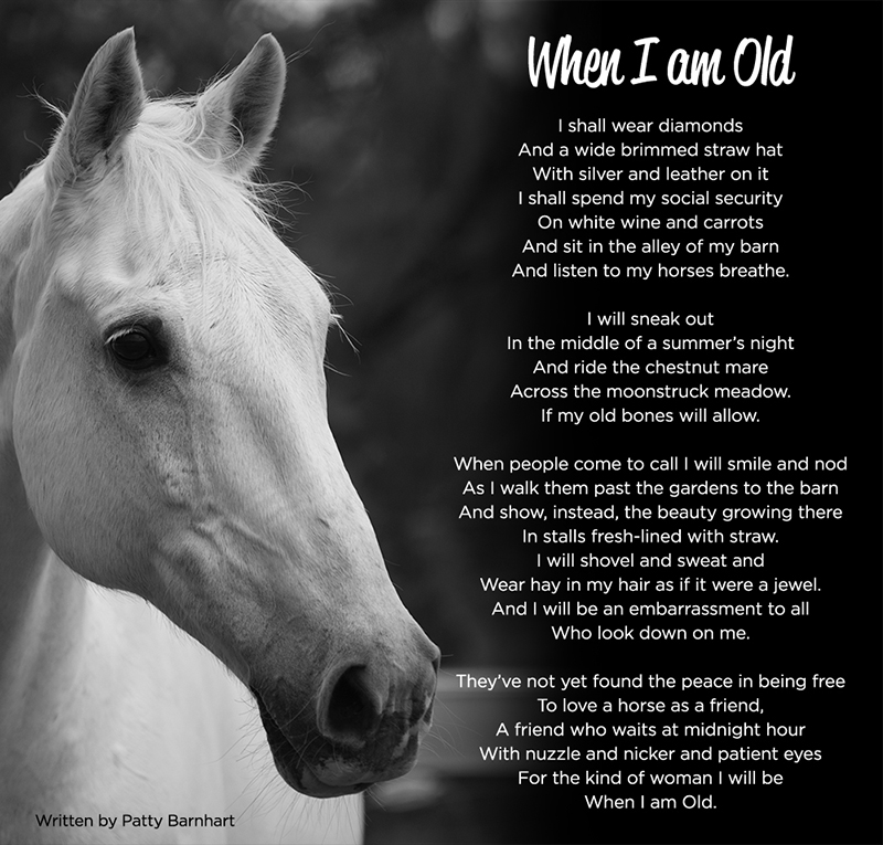 Caring for older horses