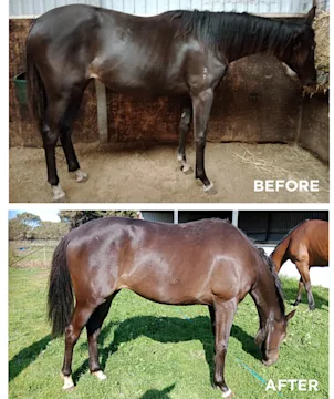 Jennifer Gow-Whyte and Barbie 