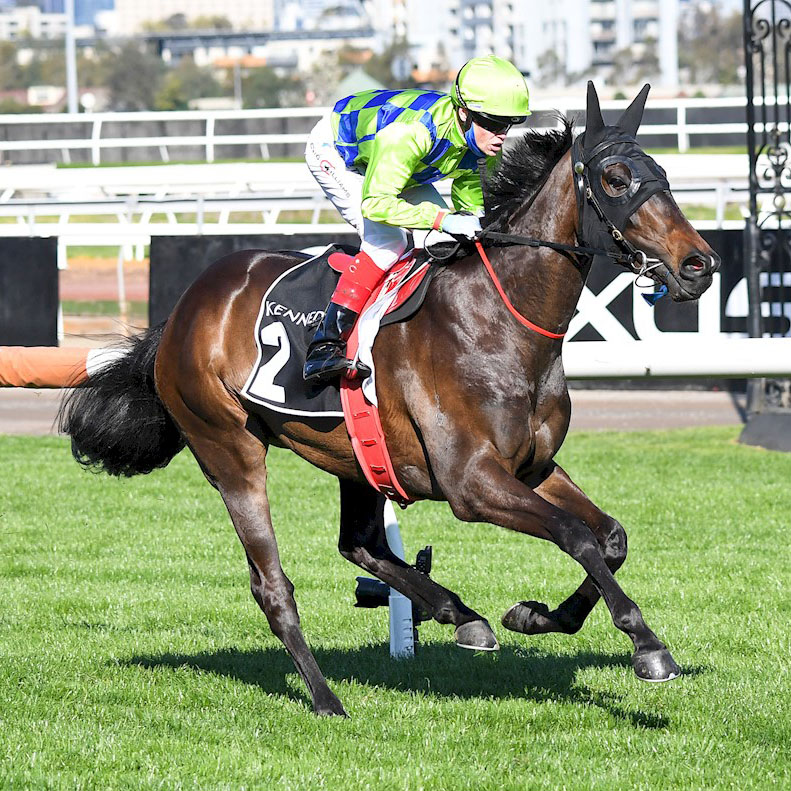 Hunter's homegrown way