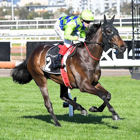 Hunter's homegrown way