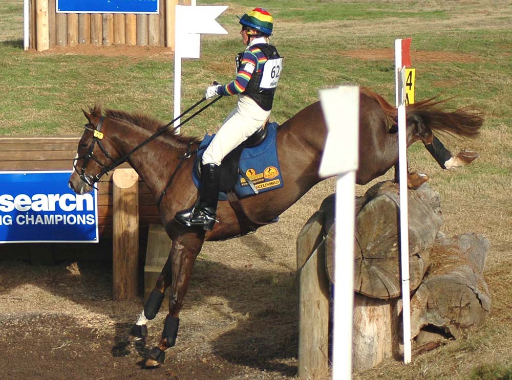 Food For Thought - Diamond V® XPC