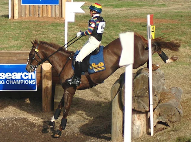 Food For Thought - Diamond V® XPC