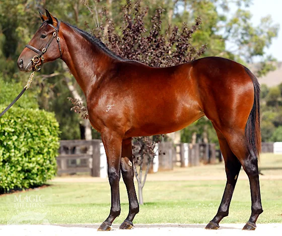 Thoroughbred Growth and Future Racing Performance