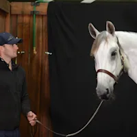 Winter Feeding - Managing the cold months in style