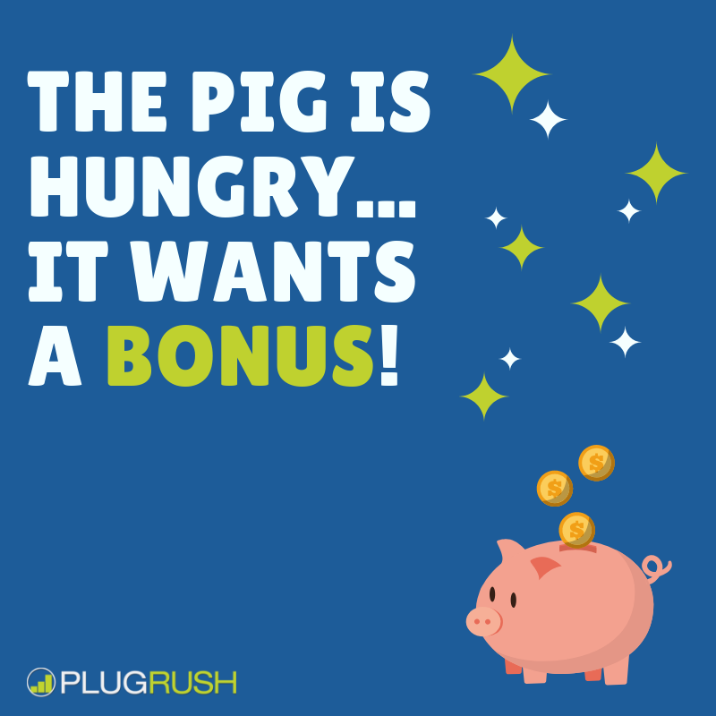 bonus-pig