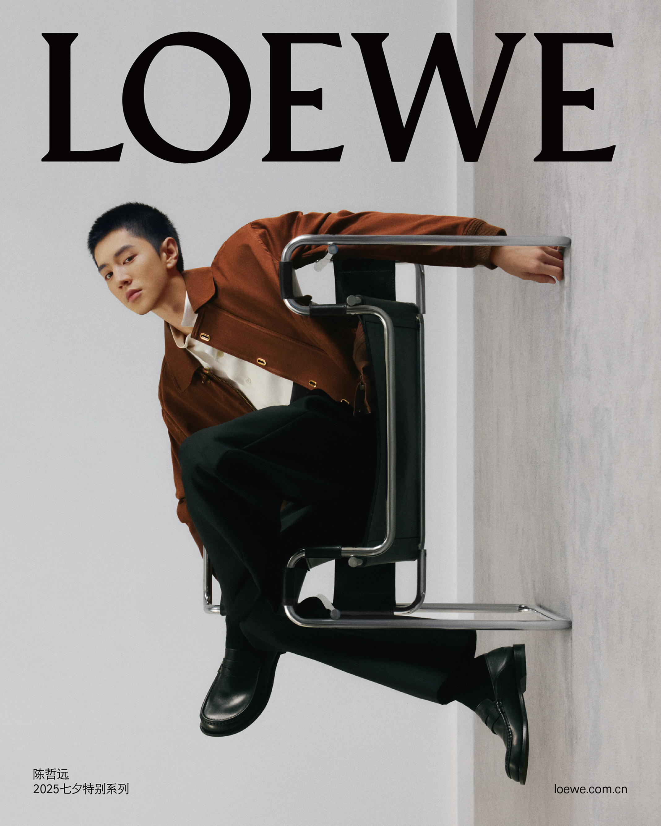 P07 LoeweQIXI25