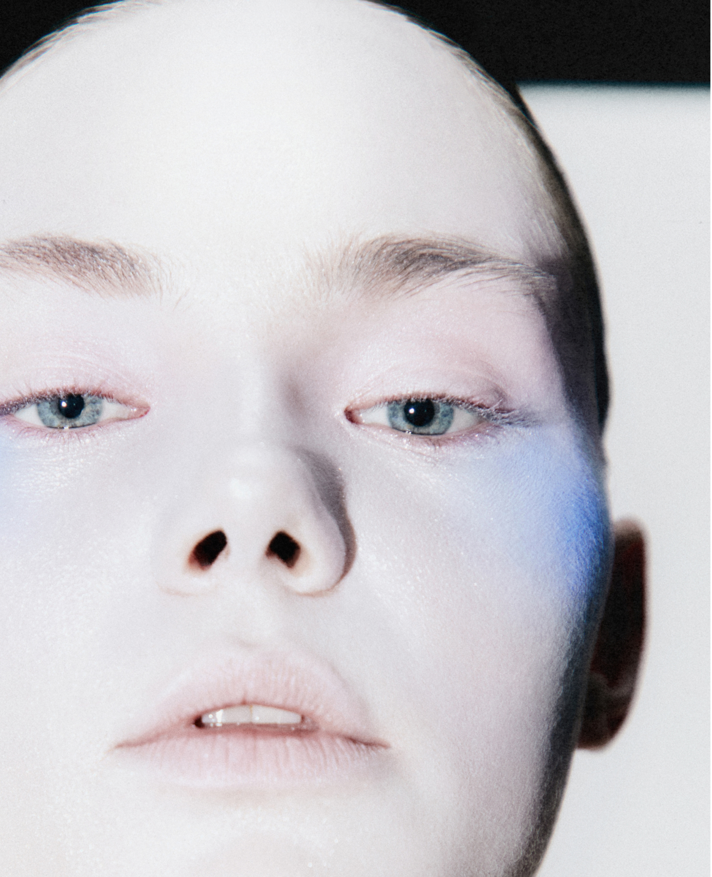 P04 WhenTheSkyBloomSakura