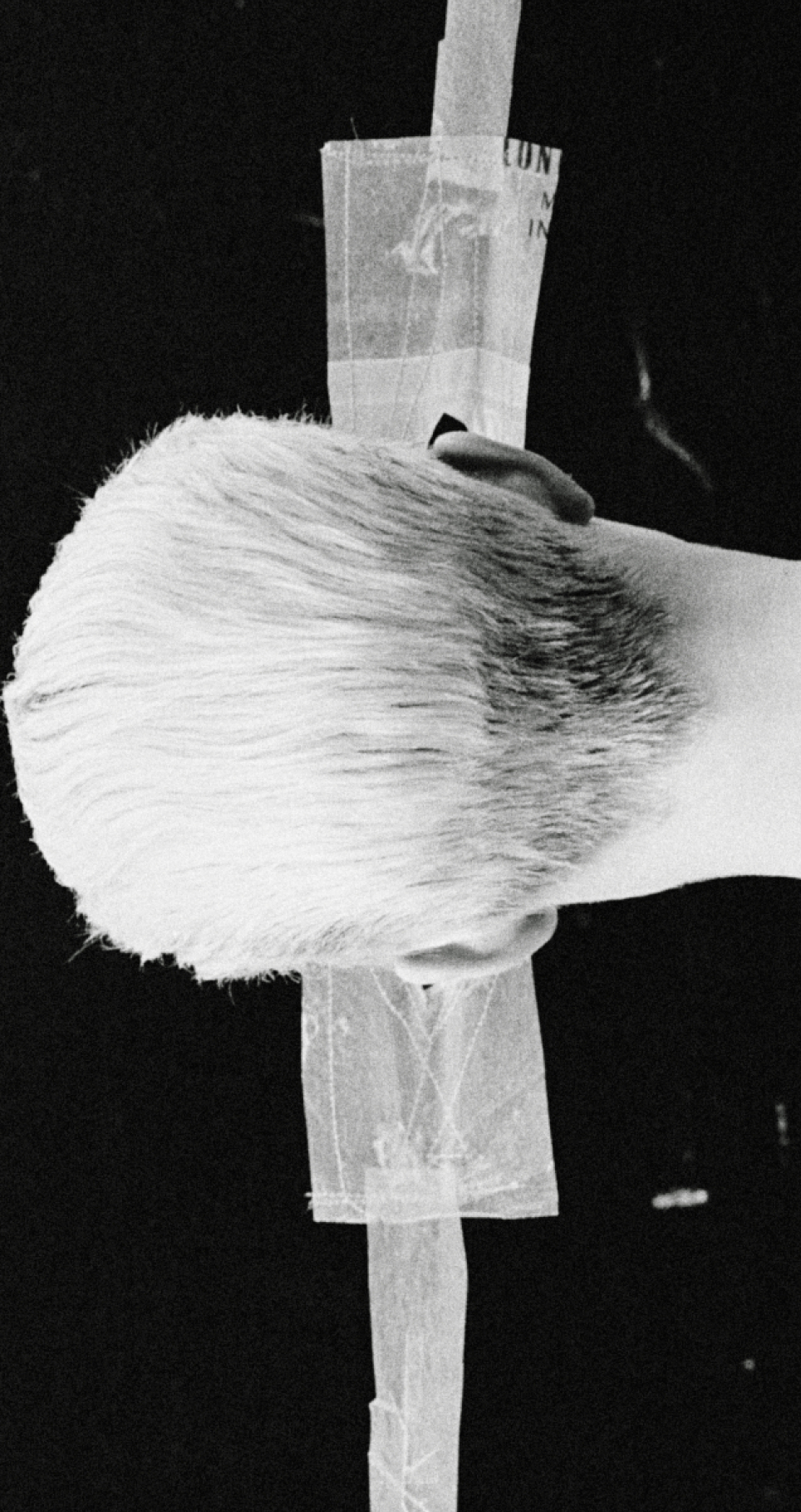 THE PERFECT STRANGER