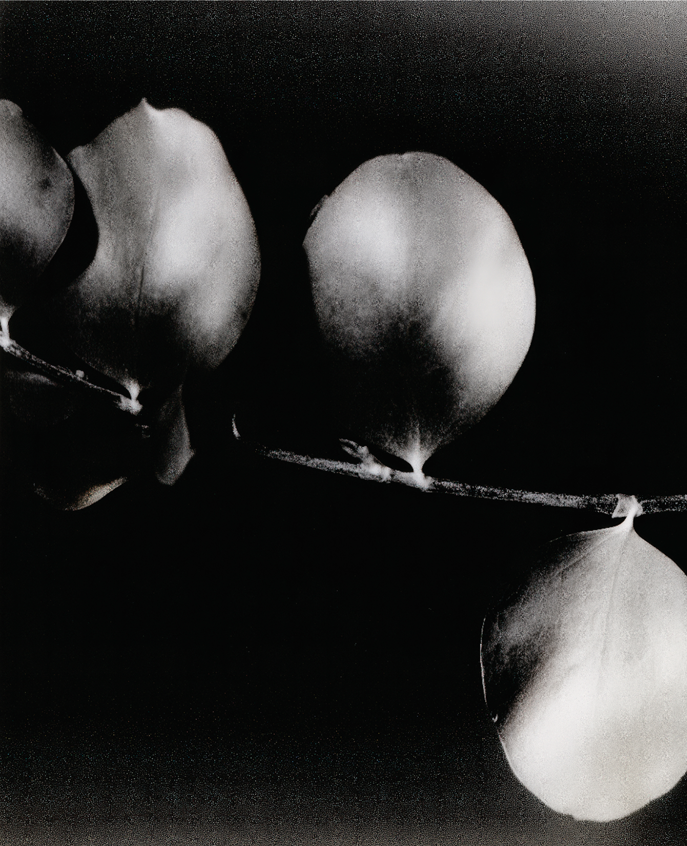 Brighter The Star RAPH IN MY BEDROOM.MP4 Photo08-3