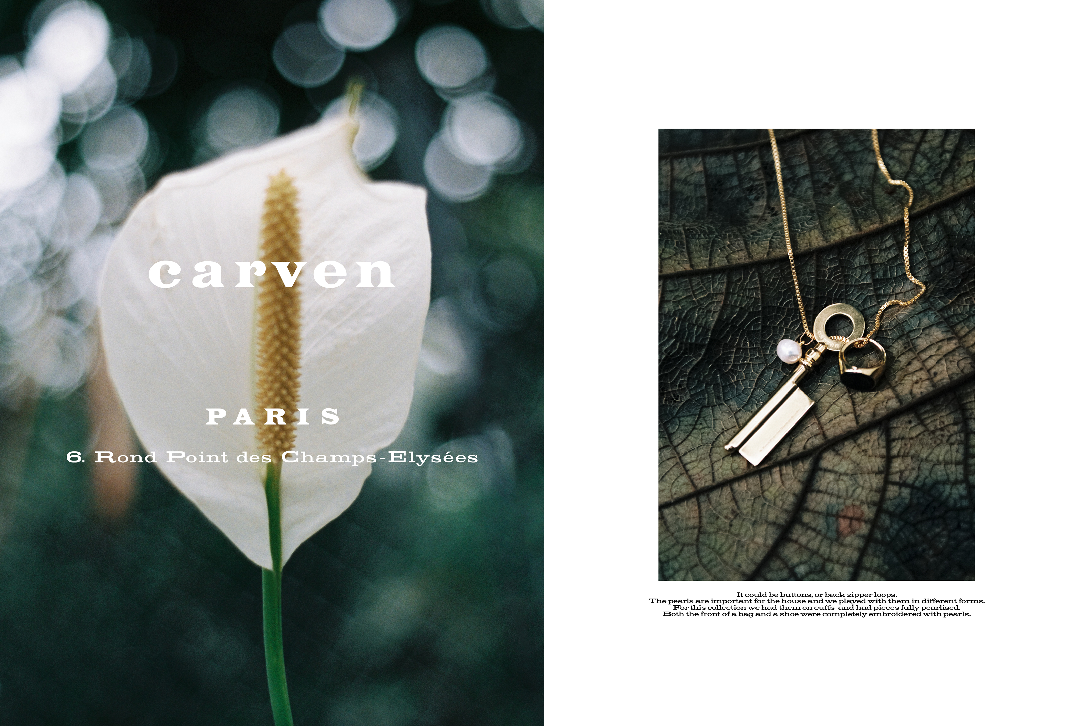 THE ART OF OBSERVATION 12